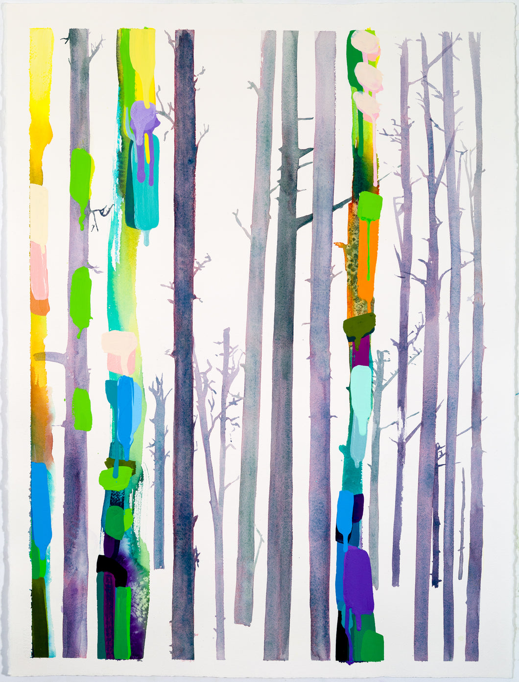 Dana Hargrove, 