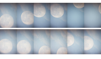 Sharon Harper, 2 Nathan Pankratz