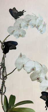 Kaoru Mansour, 