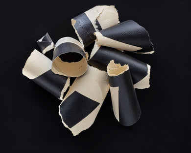 Dina Wind, 